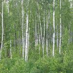 �߶����ֳ���ɫ